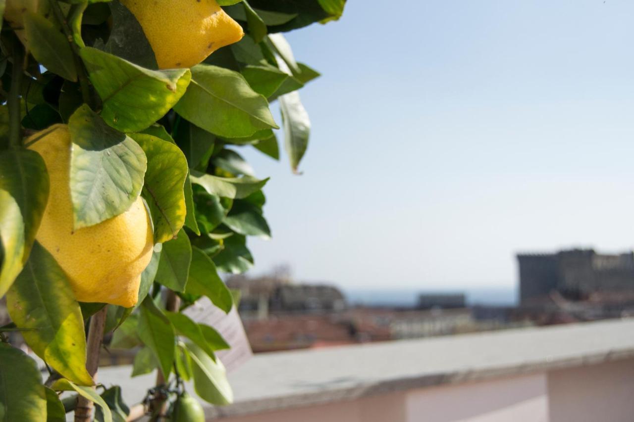 "Panoramic Terrazza - Napoli" Bed and Breakfast Exteriör bild